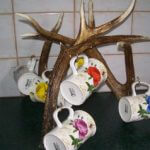 deer antler product example