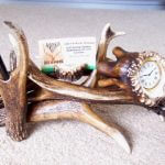 deer antler product example