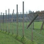 deer fencing