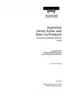 AUSTRALIAN VELVET ANTLER