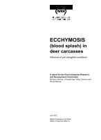 ECCHYMOSIS (BLOOD SPLASH)