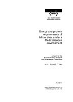 ENERGY AND PROTEIN REQUIREMENTS OF FALLOW DEER UNDER A MEDITERRANEAN ENVIRONMENT
