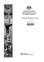 RESEARCH IN PROGRESS -2003-2004