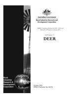 RESEARCH IN PROGRESS -2004-2005