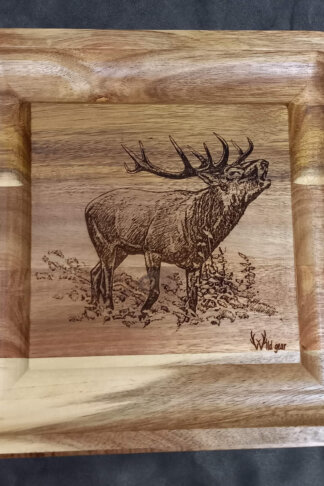 Wild Gear acacia cheeseboard set