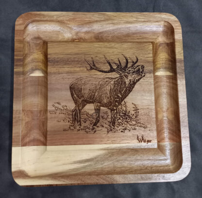 Wild Gear acacia cheeseboard set