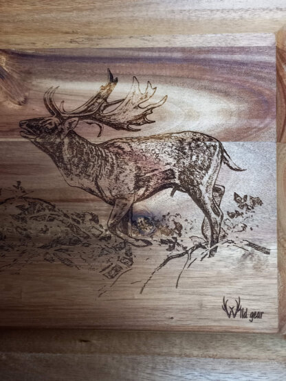 Wild Gear acacia cheeseboard set